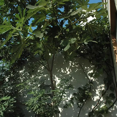 Smochin Διαμέρισμα Κονστάντζα